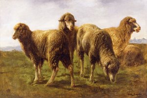 رعي الأغنام في مرج ، بواسطة بينك بونور