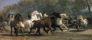 دراسة لسوق الخيل ، 1852-54