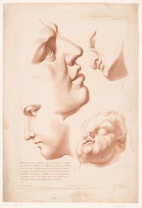 رؤساء رجل وامرأة وطفل مبادئ الرسم من الطبيعة الجزء الثاني (عنوان السلسلة) IIe Cahier de Principes du Dessin d
