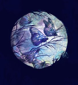 ليلة صيف 2016 ، (