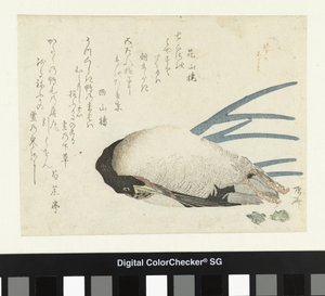 كراث في ثلج خفيف بواسطة Ryuryukyo Shinsai