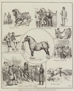 اسكتشات في معرض Shire Horse ، في القاعة الزراعية الملكية ، Islington