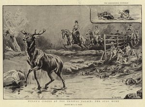 سيرك وولف في كريستال بالاس ، Stag Hunt