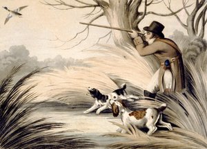Shooting Duck, engraved by H. Merke, c.1809 (colour litho)