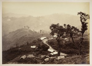 تنداري بازار ، دارجيلنج ،  من "مناظر دارجيلنغ" ،  1860 - 1880    (ب / ث الصورة) بواسطة صموئيل بورن