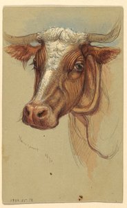 رسم، رسومات تخطيطية من ناراجانسيت، رود آيلاند، 1871