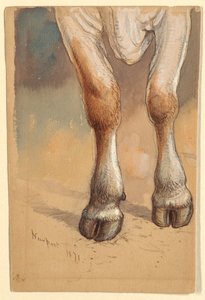 رسم، دراسات بعد الماشية، 1871 بواسطة صموئيل كولمان