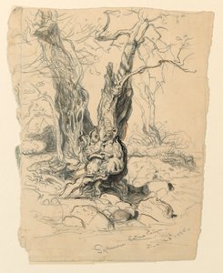 رسم، دراسات. الأشجار، 23 ديسمبر 1885