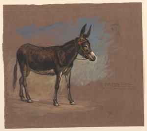 رسم، دراسة. بغل، 1872-1875 بواسطة صموئيل كولمان