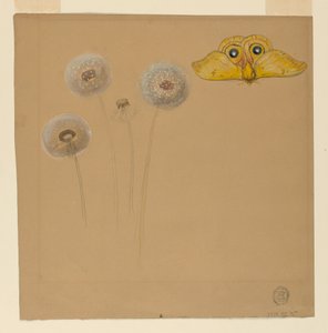 رسم، دراسة لزهرة أقحوان بيضاء، جذع بابونج ببتلتين، وبتلة بابونج، 1875-90 بواسطة صموئيل كولمان