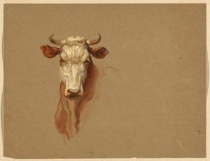 دراستان عن الماشية بواسطة Samuel Colman