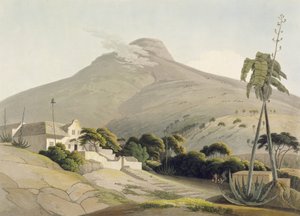 منظر لرأس الأسد ، اللوحة 28 من "المناظر الأفريقية والحيوانات" ، محفورة بواسطة الفنان ، 1805 (أكواتينت)