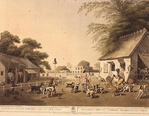 "Dooreahs أو Dog Keepers Leading Out Dogs" ، من Oriental Field Sports بواسطة Samuel Howett (1756-1822) ، حانة. بواسطة إدوارد أورم