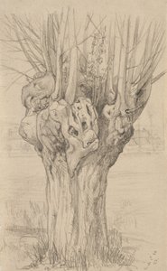 شجرة Gnarled ، 1884 (الجرافيت على ورق مصقول برتقالي)