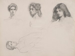 رسم تخطيطي للرؤوس النسائية
