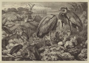 The Heronry at Didlington Park ، نورفولك بواسطة صموئيل جون كارتر