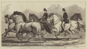 عرض الحصان في القاعة الزراعية ، Islington ، موكب خيول الجائزة ، Trotters و Hacks بواسطة صموئيل جون كارتر