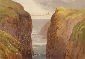 شمال أيرلندا ، Carrick-a-Rede (لون ليثو)