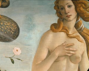 ولادة فينوس (Venus Anadyomene) بواسطة ساندرو بوتيتشيلي