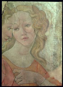 فينوس والنعم الثلاثة يقدمان هدايا لفتاة صغيرة ، تفاصيل إحدى النعم ، c.1483 تفاصيل جدارية من 33760 انظر أيضًا 93891-2 ، 93894
