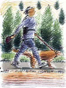 Walking the Dog، 2009 (الاكريليك) بواسطة سارة هايوارد