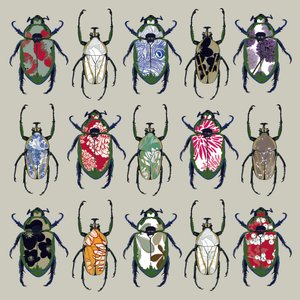 Beetledrive ، 2008 (رقمي)