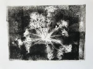 Seedhead II ، 2020 ، (monoprint) بواسطة سارة طومسون إنجلز