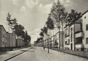 Berlin: Kolonie Fischtalgrund (b/w photo) بواسطة ساشا ستون
