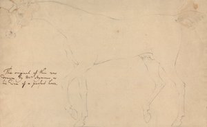 حصان مثالي بواسطة Sawrey Gilpin