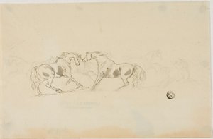 قتال الخيول بواسطة ساوري جيلبين