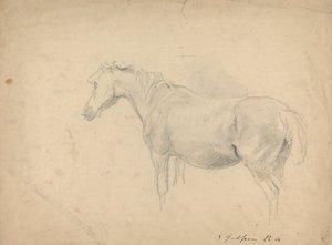 رسم الحصان بواسطة ساوري جيلبين
