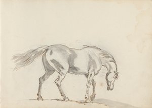 رسم كراسة الرسم بواسطة ساوري جيلبين