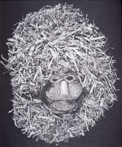 Iroquois Mask (corn husk) بواسطة المدرسة الأمريكية