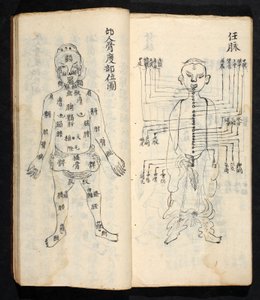 نقاط الوخز بالإبر على طول الخط المركزي للجسم ، من Jing Guan Qi Zhi ، "بدايات ونهايات نقاط وقنوات الوخز بالإبر" ، حانة. جنوب الصين ، أوائل القرن الثامن عشر (حبر على ورق) بواسطة المدرسة الصينية