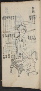 نقاط الوخز بالإبر على طول العمود الفقري والرأس ، من Jing Guan Qi Zhi ، "بدايات ونهايات نقاط وقنوات الوخز بالإبر" ، حانة. جنوب الصين ، أوائل القرن الثامن عشر (حبر على ورق) بواسطة المدرسة الصينية