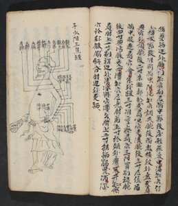 نقاط الوخز بالإبر على الذراع والرقبة وقاعدة الرأس ، من Jing Guan Qi Zhi ، "بدايات ونهايات نقاط وقنوات الوخز بالإبر" ، الحانة. جنوب الصين ، أوائل القرن الثامن عشر (حبر على ورق)