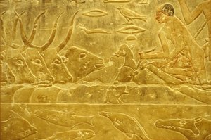 مصر القديمة، نقوش/رسومات على الجدران، مصطبة/مقبرة إدوت، سقارة، الأسرة السادسة، ماشية تعبر النهر، رجل يساعد عجلاً على عبور النهر، أم تراقب (صورة) بواسطة المدرسة المصرية