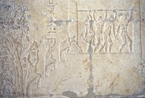مصر القديمة، نحت/رسم على الحائط، مقبرة بيتوزيريس، تونة الجبل، 300 قبل الميلاد، حصاد النبيذ، صناعة النبيذ، معصرة النبيذ (صورة) بواسطة المدرسة المصرية