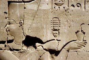  بواسطة المدرسة المصرية