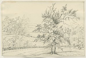 كانوك تشيس: الرسم بالقلم الرصاص والقلم الرصاص ، [؟ القرن التاسع عشر] (رسم) بواسطة مدرسة اللغة الإنجليزية