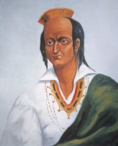 Metacomet (colour litho) بواسطة مدرسة اللغة الإنجليزية