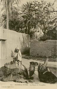 Le Repos du Chamelier، c1890-1914 (b / w photo) بواسطة المدرسة الفرنسية
