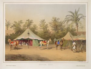 معسكر في مصر بواسطة مدرسة الهنغارية