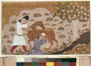 Onager Milking ، أواخر القرن الخامس عشر (ألوان مائية ، غواش ، لون أبيض ، حبر على ورق) بواسطة المدرسة الإيرانية