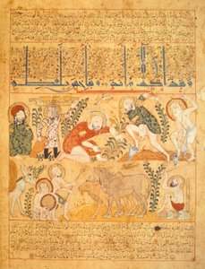 أندرومينادروس، الصيدلي، يستعرض العمل الزراعي، رسم توضيحي من كتاب "الدرياق" للترياق، بقلم غالن المزيف (رق)