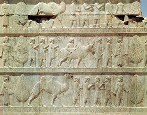 تفاصيل إفريز بارز على الدرج الشرقي إلى أبادانا (قاعة الجمهور) يصور مندوبين من الأراضي الخاضعة للإمبراطورية حاملين هدايا فخمة لمراسم ، الفترة الأخمينية ، حوالي 515 قبل الميلاد (الحجر الجيري) بواسطة المدرسة الفارسية