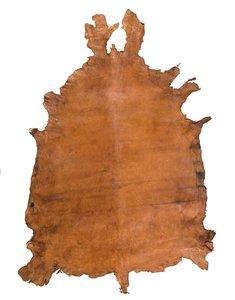 إخفاء الحيوان ، ج. 1786 (جلد) بواسطة المدرسة الروسية