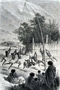 محاربو الماوري يلعبون على أرجوحة ، رسم توضيحي من "العودة إلى العالم" بواسطة مدرسة الاسبانية