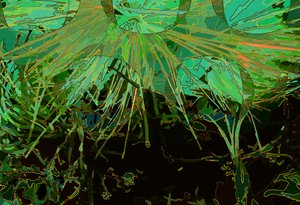 Artichoke_abst_horz2 (رقمي) بواسطة سكوت ج.ديفيس