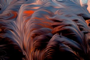 ريشة بواسطة سكوت ج.ديفيس